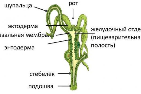 Кракен обход vtor run