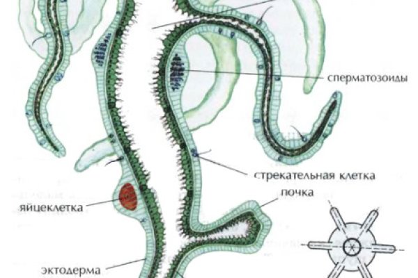 Кракен маркетплейс как зайти