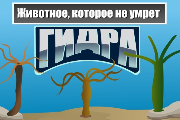 Кракен наркоплощадка