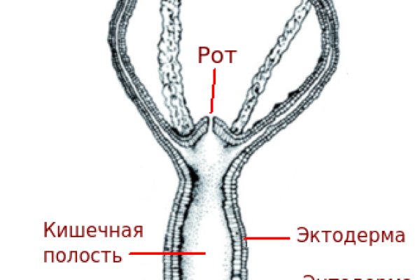 Kraken darknet market зеркало